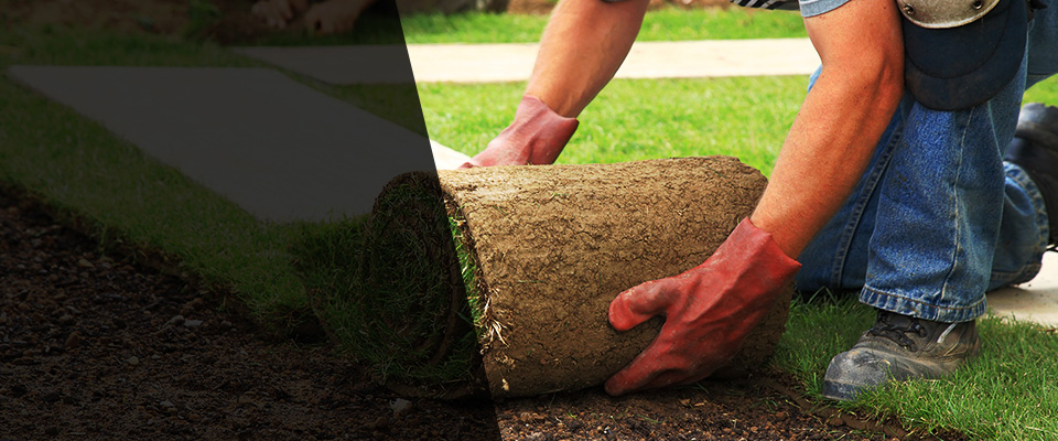 Marthasville Landscapers